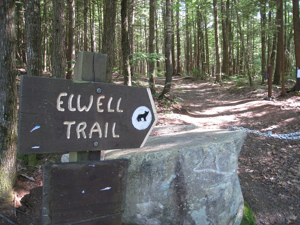 Elwell Trail NH 2010 055.jpg - The Elwell Trail North of Bristol NH, runs along Newfound Lake. The trail goes to Little and Big Sugarloaf mountains. Supposedly it also connects to Mt Cardigan. May 2010.